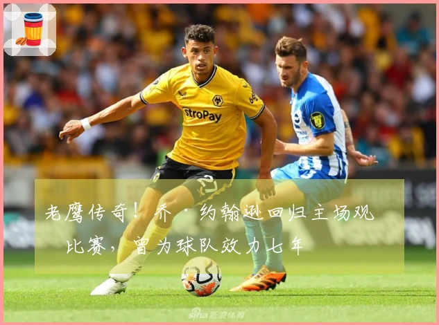 老鹰传奇！乔·约翰逊回归主场观看比赛，曾为球队效力七年